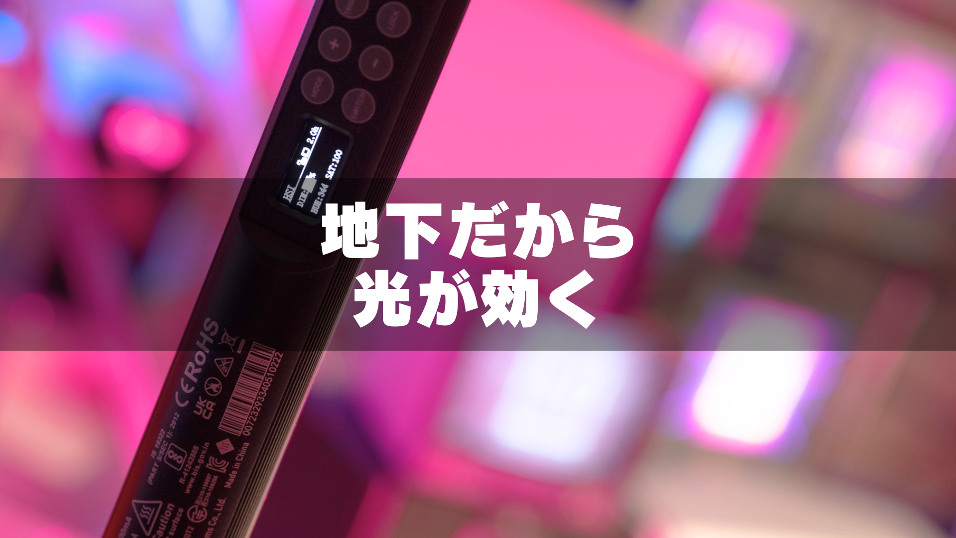 pavotubeブログタイトル